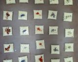 Foto del paso 3 de la receta: Masitas de queso