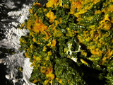 Nidos con calabaza y espinacas