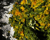 Foto del paso 2 de la receta: Nidos con calabaza y espinacas
