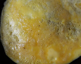 Foto del paso 5 de la receta: Omelette de queso y verduras