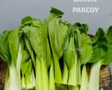 Foto langkah ke 1 dari resep Garlic Pakcoy.
