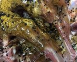 A picture of step 1 of Lamb Chops with Honey and Nigella Seeds.