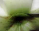 Apple Yogurt Bowl recipe step 5 photo