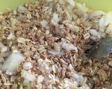 Foto del paso 4 de la receta: Tortitas de atún con avena