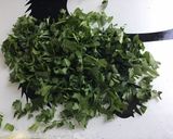 Une image de l'étape 4 de Salade de pommes de terre aux œufs oignons nouveaux moutarde et herbes.
