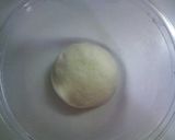 A picture of step 4 of Baking Bread Straight from Liquid Bread Starter - Simple and Basic Rolls.