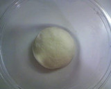 A picture of step 4 of Baking Bread Straight from Liquid Bread Starter - Simple and Basic Rolls.