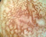 A picture of step 2 of double decker pie stove top.
