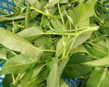 Foto langkah ke 1 dari resep 💗Tumis kangkung ayam mentega💗.