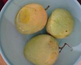 Foto langkah ke 1 dari resep Sorbet Mangga.
