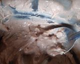 Foto del paso 2 de la receta: Torta helada con galletas María
