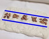 A picture of step 28 of Walnut and Caramel Pain Rustique With Natural Bread Starter.
