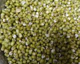 A picture of step 1 of Sprouted Mung Appum.