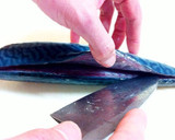A picture of step 11 of How to Fillet a Whole Fish.