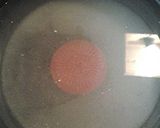 A picture of step 2 of Pickled squash.