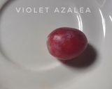 Foto langkah ke 1 dari resep MPASI Cara Memberikan Buah Anggur Pada Bayi.