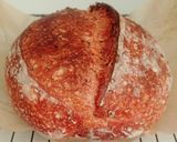 Foto langkah ke 20 dari resep Angkak Jinten Hitam Wijen Sourdough Bread (Kabuki Gold).
