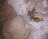 Foto del paso 3 de la receta: Molletes de Antequera saludables en MC