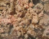 A picture of step 1 of Cheesy Meaty Hotdog Sauce 2.