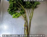 當歸葉梗排骨湯的食譜步驟2照片