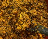 A picture of step 9 of Egusi soup.
