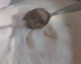 A picture of step 13 of Lasagna.