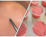Foto langkah ke 1 dari resep Puding Stroberi.