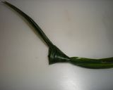 A picture of step 2 of Bubur Kacang Hijau- Malaysian Sweet Green Bean Soup.