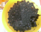 A picture of step 2 of Concord grape Jam.