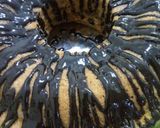 Foto langkah ke 11 dari resep Bolu pisang kukus (cake pisang no mixer no oven).