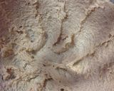 A picture of step 2 of Vedgedout's Chocolate Chip Cookies.