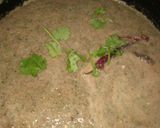 A picture of step 3 of Pudina rasam Madhu style.