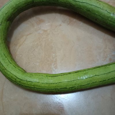 Langkah 1
