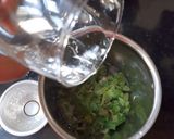 A picture of step 4 of Coriader mint juice.
