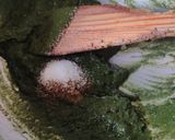 व्रत वाला पालक पनीर (Vrat wala palak paneer recipe in hindi) रेसिपी चरण 3 फोटो