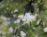 Foto del paso 3 de la receta: Revuelto de claras, espárragos trigueros y bacalao