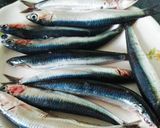 Foto del paso 1 de la receta: Boquerones en vinagre