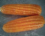 Foto langkah ke 1 dari resep Jenang jagung.