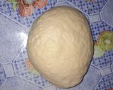 Foto del paso 3 de la receta: Pan Dulce Navideño