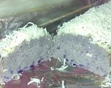 Foto langkah ke 9 dari resep Brownies kukus ubi ungu.