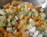 Une image de l'étape 5 de Salade d'été tout en fraîcheur.