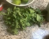 Une image de l'étape 1 de 🍋🍸Virgin 🐞🌿🍡🧋Mojito cocktail 🍹🌱.