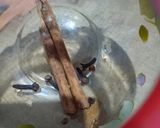 Foto langkah ke 2 dari resep Wedang Kayu manis Cengkeh.