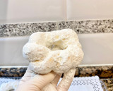 Foto del paso 15 de la receta: Rosquillas de leche en polvo
