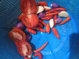 Sambal Terong Super Pedas