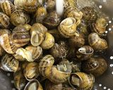Foto del paso 1 de la receta: Caracoles a mi estilo