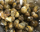 Foto del paso 1 de la receta: Caracoles a mi estilo