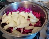 Foto del paso 3 de la receta: Repollo cocido tipo chucrut