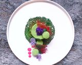 Foto langkah ke 6 dari resep Coral Tuile (Garnish).