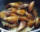 Foto del paso 2 de la receta: Moules Frites